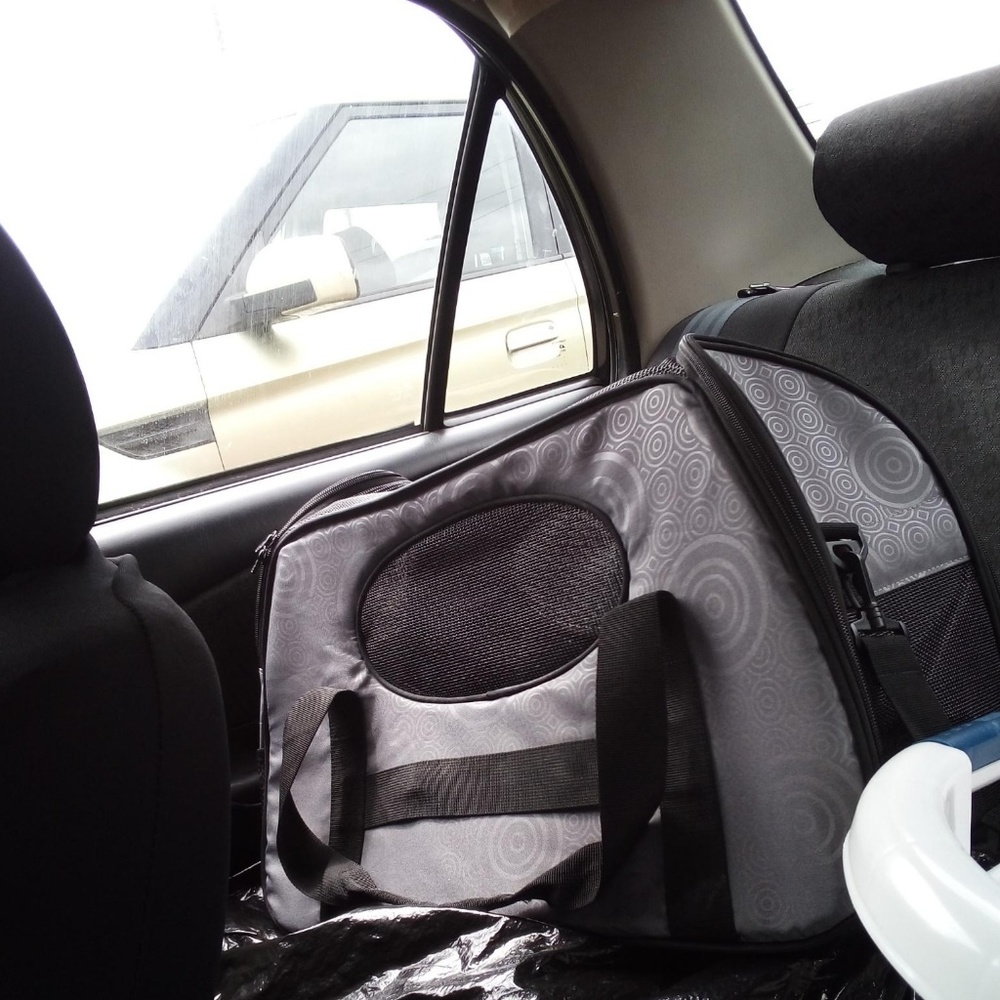Pet carrier